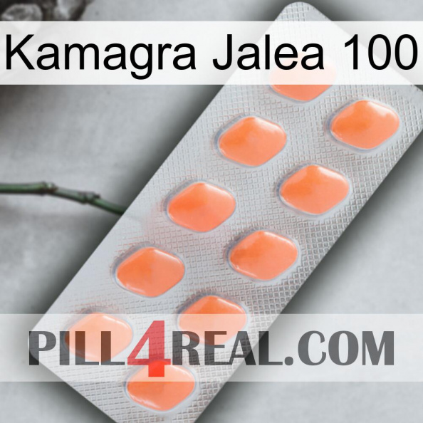 Kamagra Jelly 100 26.jpg